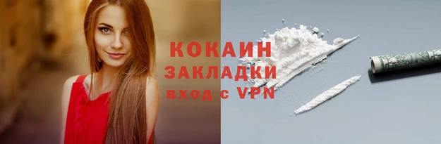стафф Новокубанск
