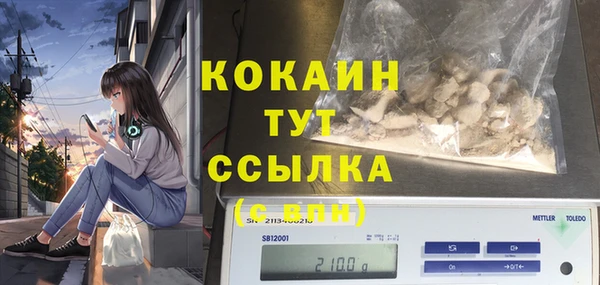 стафф Новокубанск