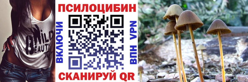 Псилоцибиновые грибы мицелий  Балаково 